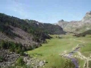 alevinage en helicoptère (survol de bious)