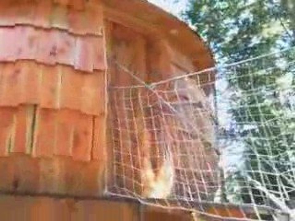 cabanes perchées à Payolle