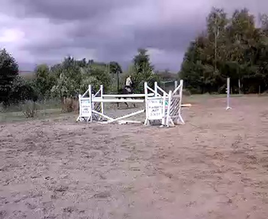 Sport Ponies Stable-Jument 1m54 né en 2000  sur parcours 135