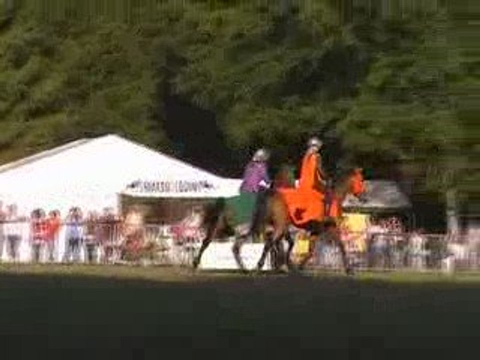 Chevaliers des Loups