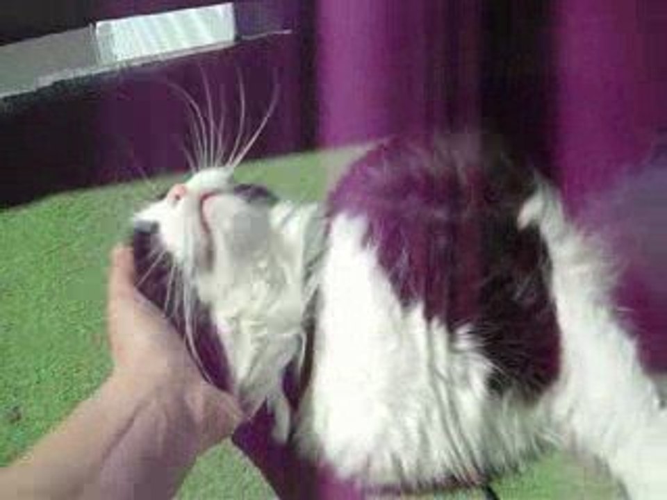 Bébé calins outch!