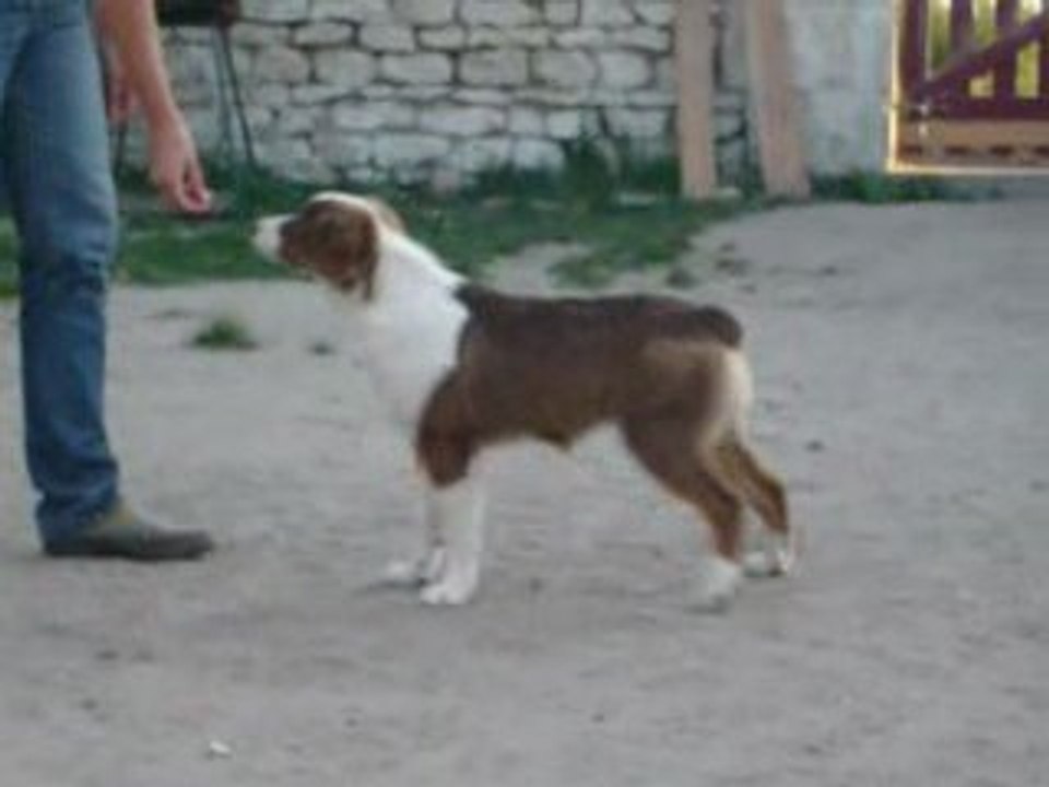 Erell entrainement 05/08/09