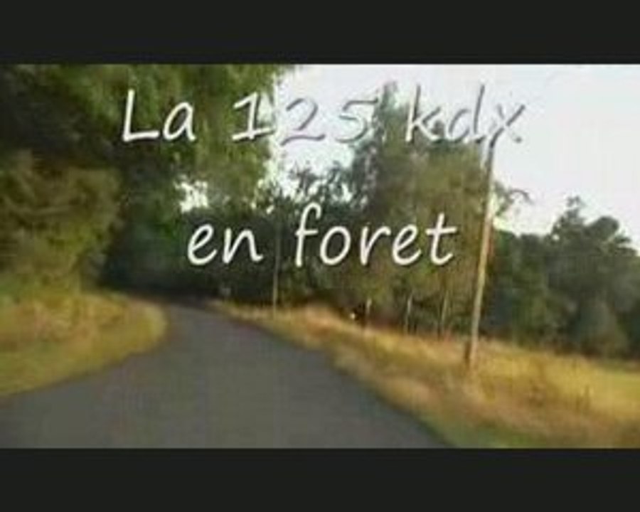 Enduro moto dans les bois