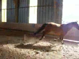 pangault du pont coz