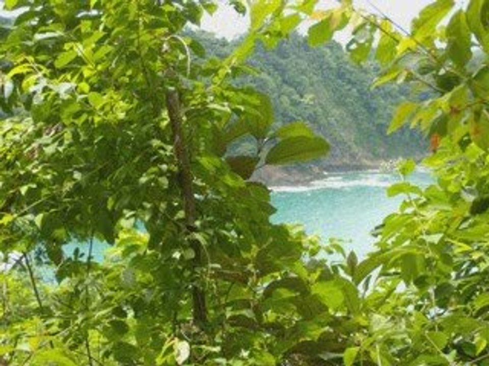 Playa Manuel Antonio, Quepos, Costa Rica