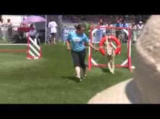 Sun Manche3 Finale TGR Montélimar 2009