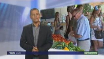 JT France3 Var – Mercredi 05 Aout 2009