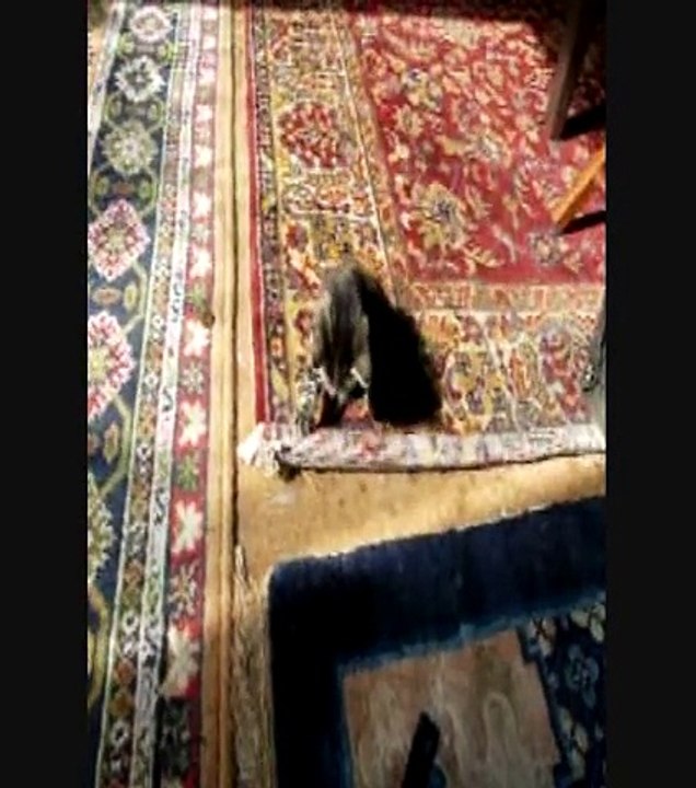 Les bébés de Charlotine _ le jeu & 3 portraits _ 5 aout 2009