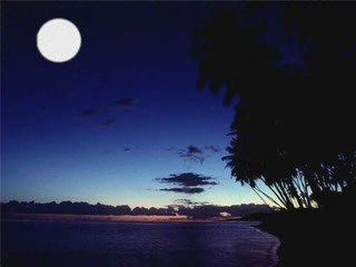 Under A Texas Moon-Bert Lown Orchestra