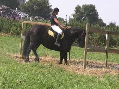 concours label organisé par la Maison familale du Cateau