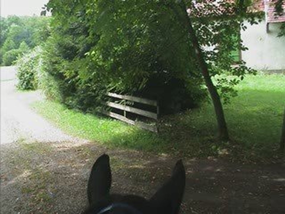 Au détour d'une ballade à Guémar...