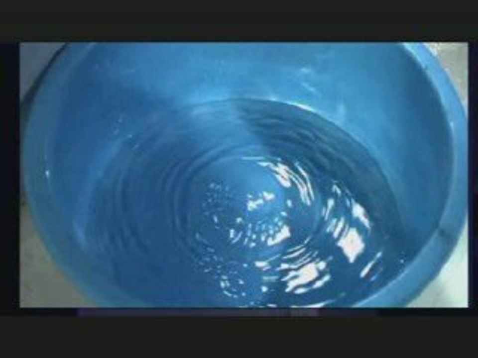 a fleur d'eau