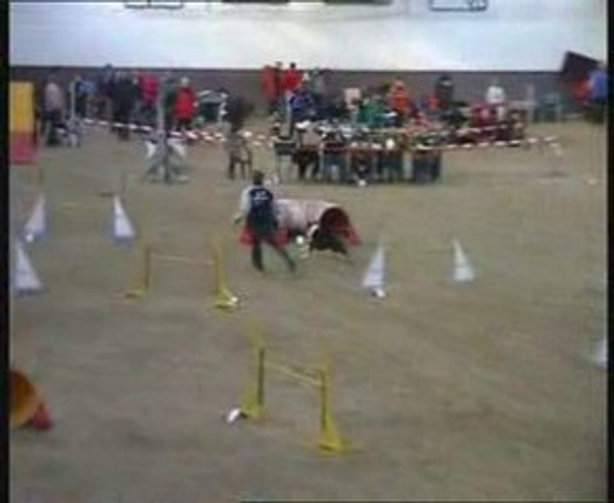 Jumping Klaus mit Rico - Legden