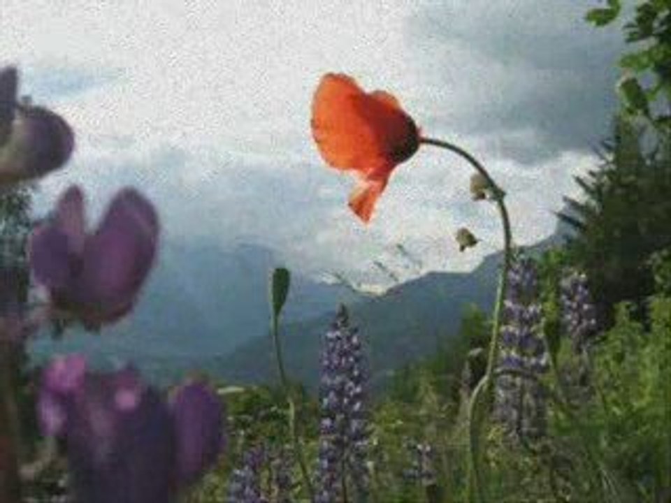 Formidable...Toi...
