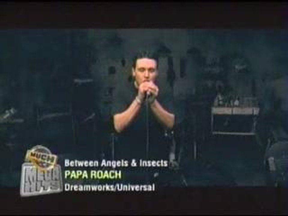 Papa Roach - Between Angels and Insects
