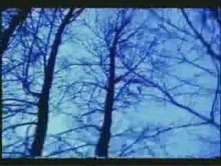 M8L8TH - By The Fallen Leaves