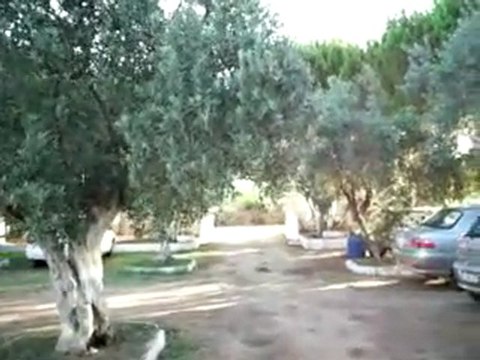 ABANT CAMP Abant aile pansiyonu ERDEK 0266 8557088