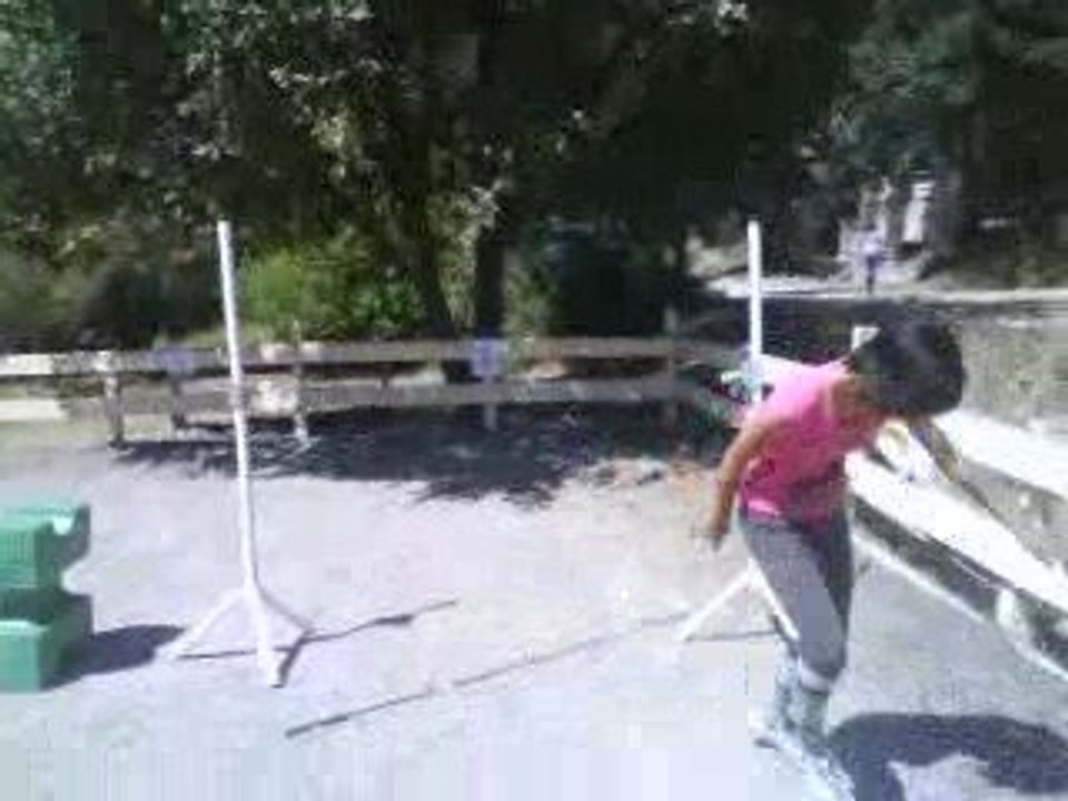 Saut