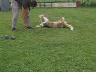 Bag OBR, 6 août 2009