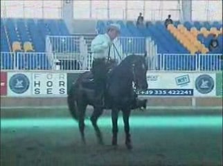 SUMMER SLIDE 2006 JJSNAP