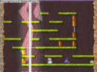 Défi bois-joli pour anau