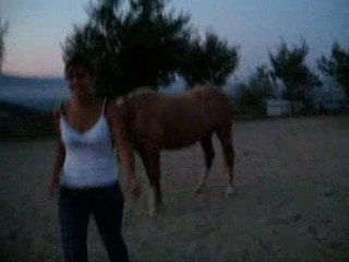Aller amandine hop