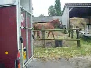 Stage d'équitation Avec meilleure (l)