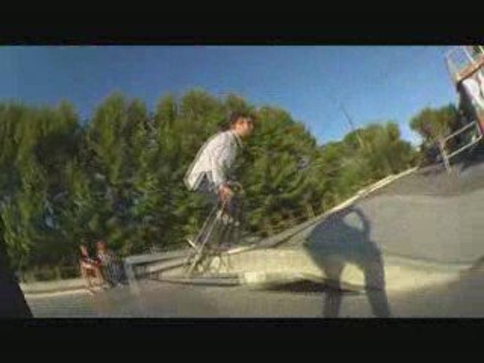 st rémi de provence cat-skateboard