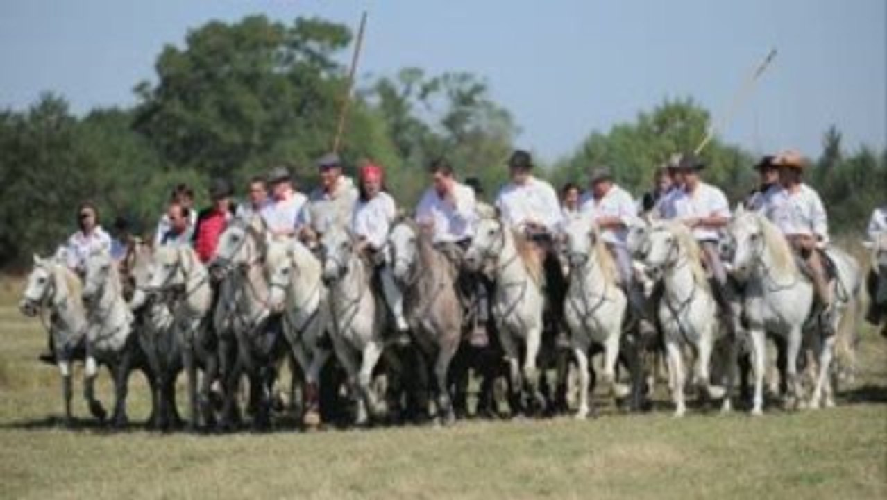 La Fête au  Cailar