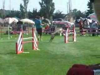 Taïlee Jump 1 trophée équipe