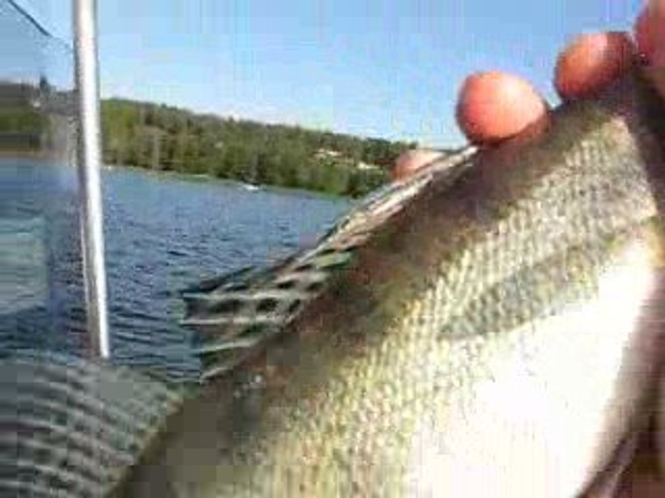 FAKO & DOGAN SUDAK AVIMIZ 06.8.2009 018