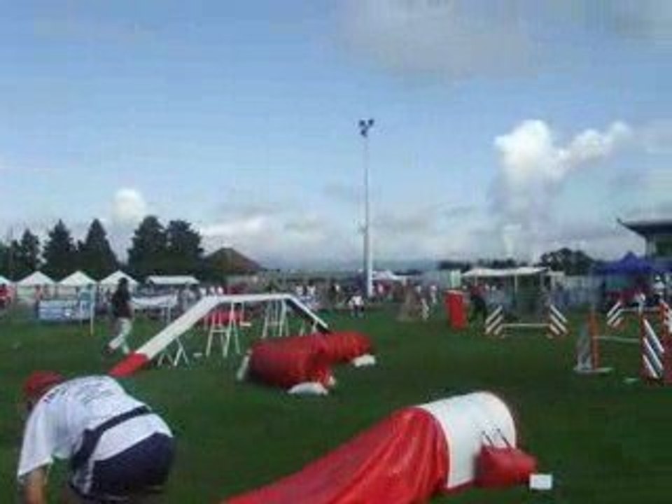 Under agility 2 trophée équipe