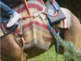 video : fete patronale des 1 et 2 aout 2009 le falgoux