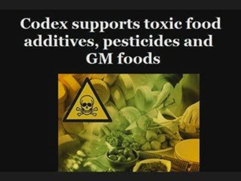 Codex Alimentarius