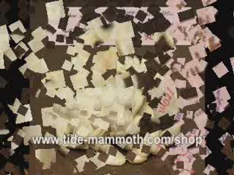 mammoth ivory netsuke 12 ZODIAC animals