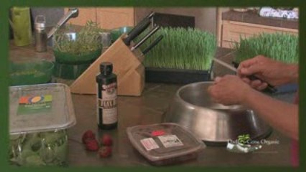 Wheatgrass for your Animals