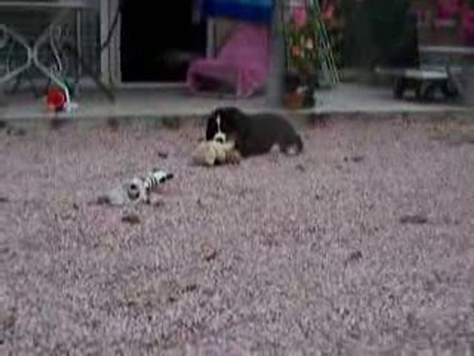 Nneïky et la peluche
