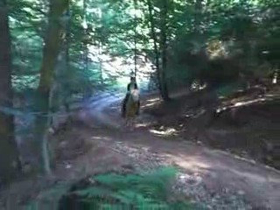 Bestaa (&) Ro' au galop ..