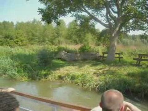 VISITE DU MARAIS AUDOMAROIS