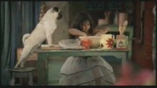 Happy to help baking dog - Vodafone advert