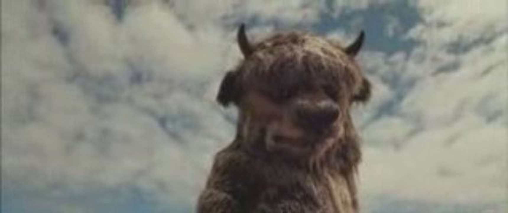 dorelbtr