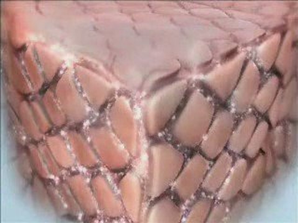 NuSkin Galvanic Spa Neden Yaşlandığımıza dair yeni buluş