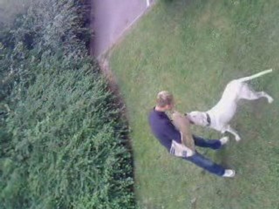 Bayron joue avec son maitre