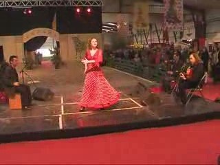 Camino Flamenco/Equus Arte, Foire Internationale, Rennes 09