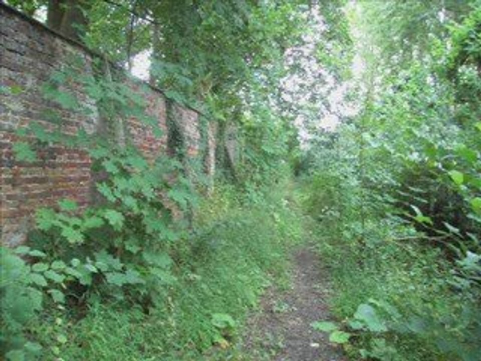 Abbaye de Cysoing (derrière les murs)