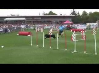 After Manche4 Finale TGR Montélimar 2009