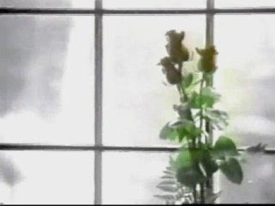 Celebration of A Life CBS Promo