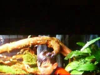 parodie trop cool de harry potter