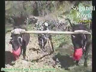 Söğüteli Köyü Tarla Sürme Görüntüleri