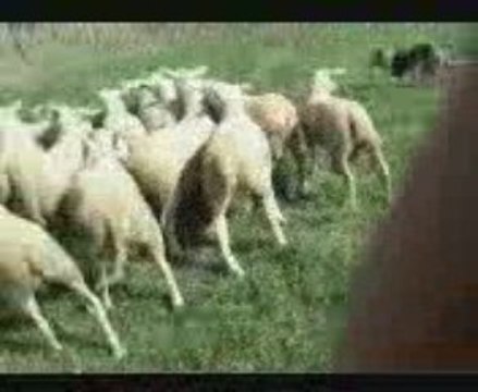 VID 00005-20090807-1000